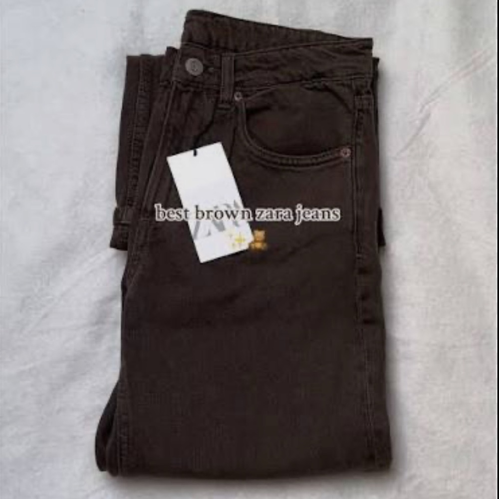 Zara Brown Women Jeans